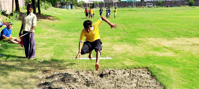 Cricket