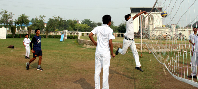Cricket